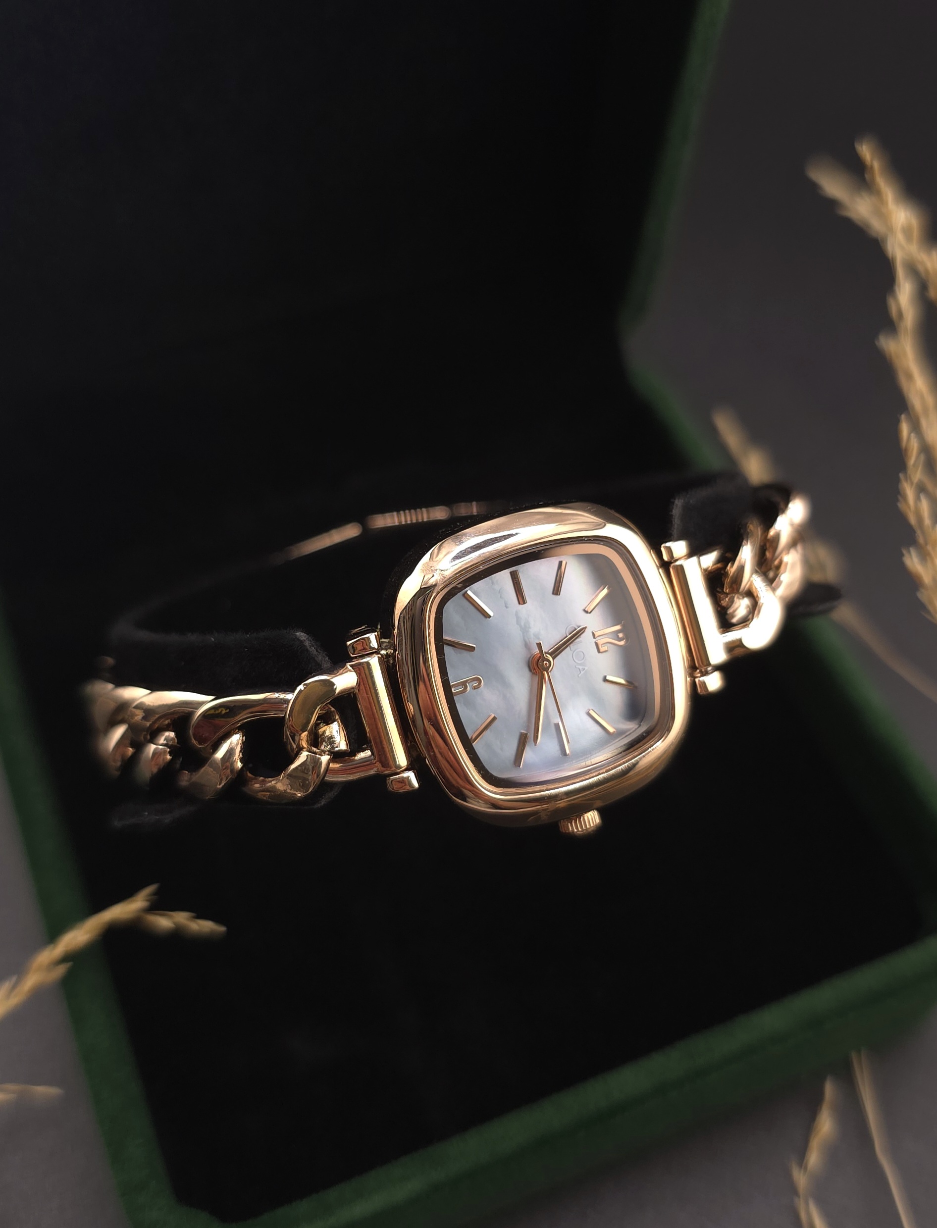 Жіночий годинник Giloa